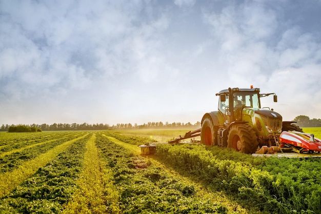 Agriculture and Agro-Allied Services
